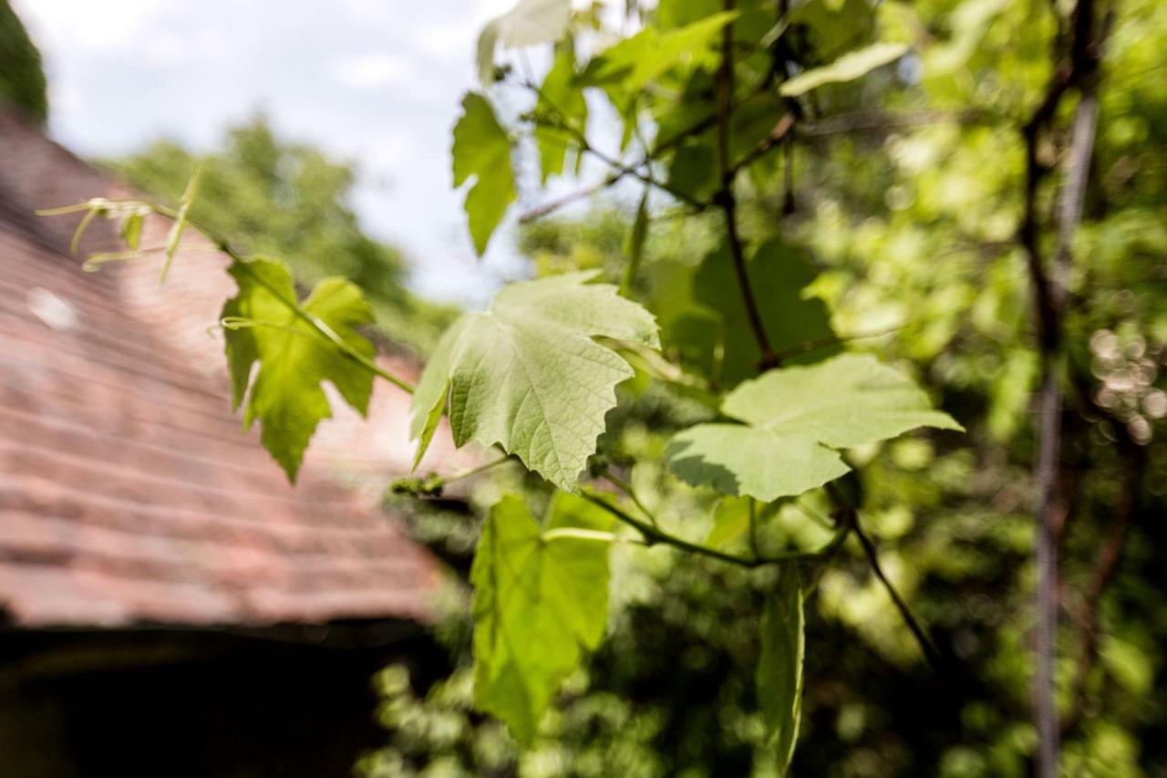 Apartmán Gul Baba Saray